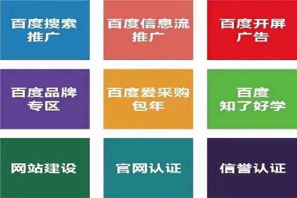 竞价广告赚钱案例：从新手到专家
